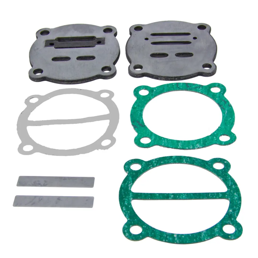 Valve Repair Kit