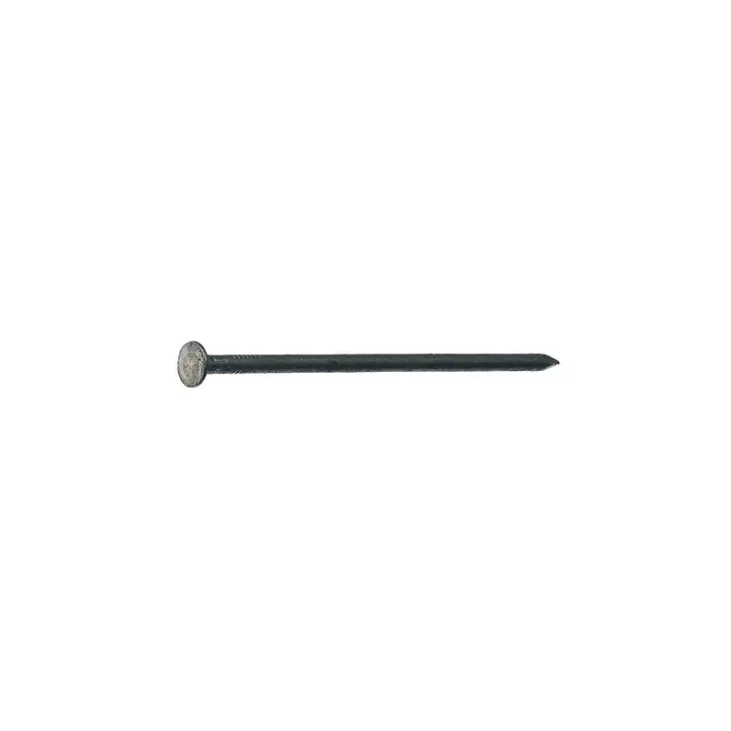 Grip-Rite 8D 2.5 Inch Box Bright Steel Nails Flat Head 50 lb Bulk Pack Construction Nails