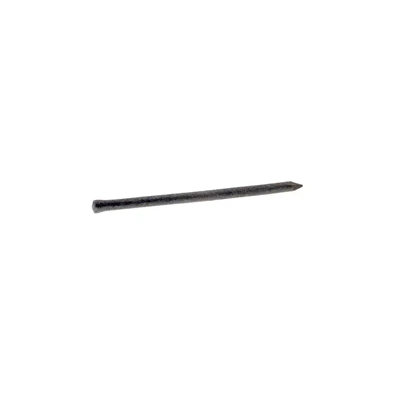 Grip-Rite 8D 2-1/2 . Casing Hot-Dipped Galvanized Steel Nail Brad 5 lb. Pack 6