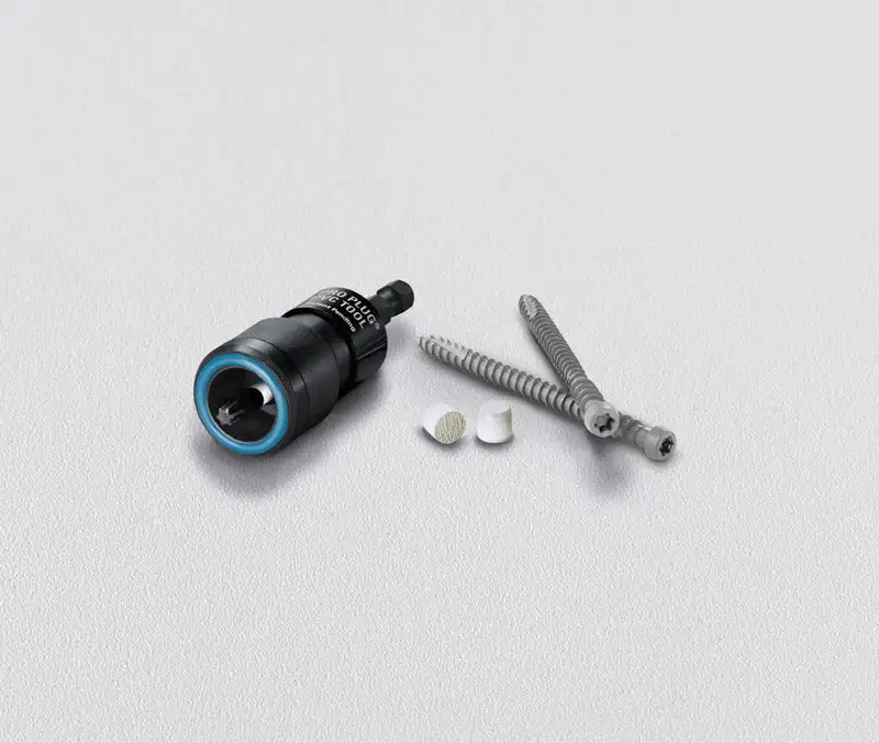Starborn Pro Plug Star Head Deck Screws 375 Pack 2-3/4 Inch