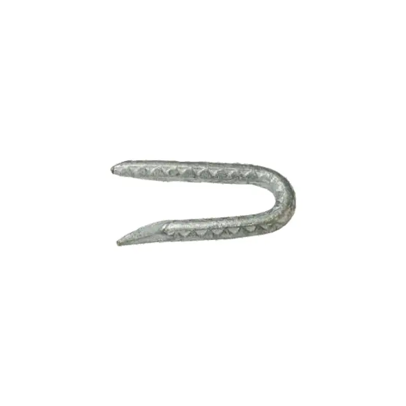 Grip-Rite 1-1/2 Inch Galvanized Steel Fence Staples 5 lb Pack 6