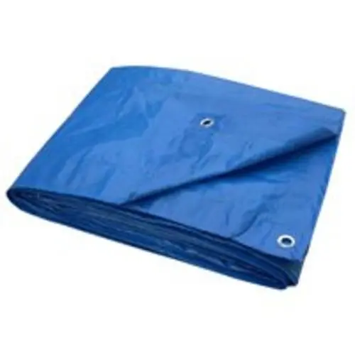 Toolbasix T2030BB70 Light Duty Plastic Tarp 20x30 Blue