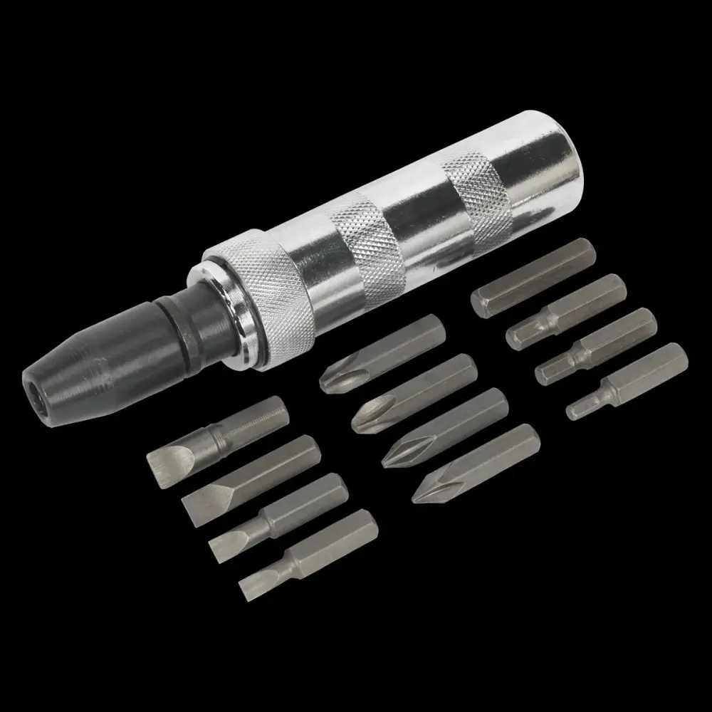 Sealey S0844 Impact Driver Place 15pc