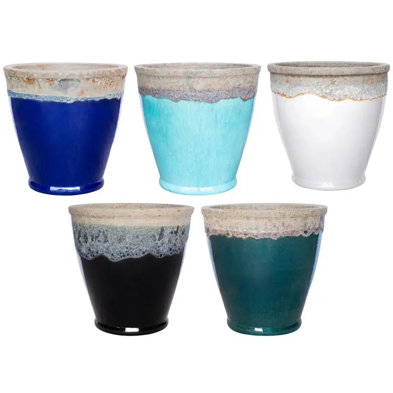 Carlon 3/4 Inch PVC Male Adapter 1 Pack Plumbing and Electrical Conduit Connections THOMAS u0026 BETTS