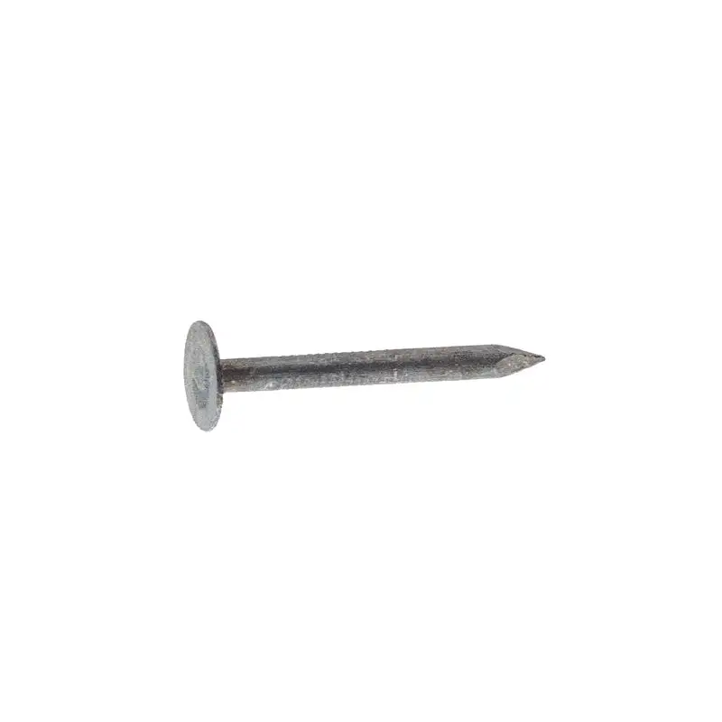 Grip-Rite 2 . Roofing Electro-Galvanized Steel Nail Round 5 lb Pack 6