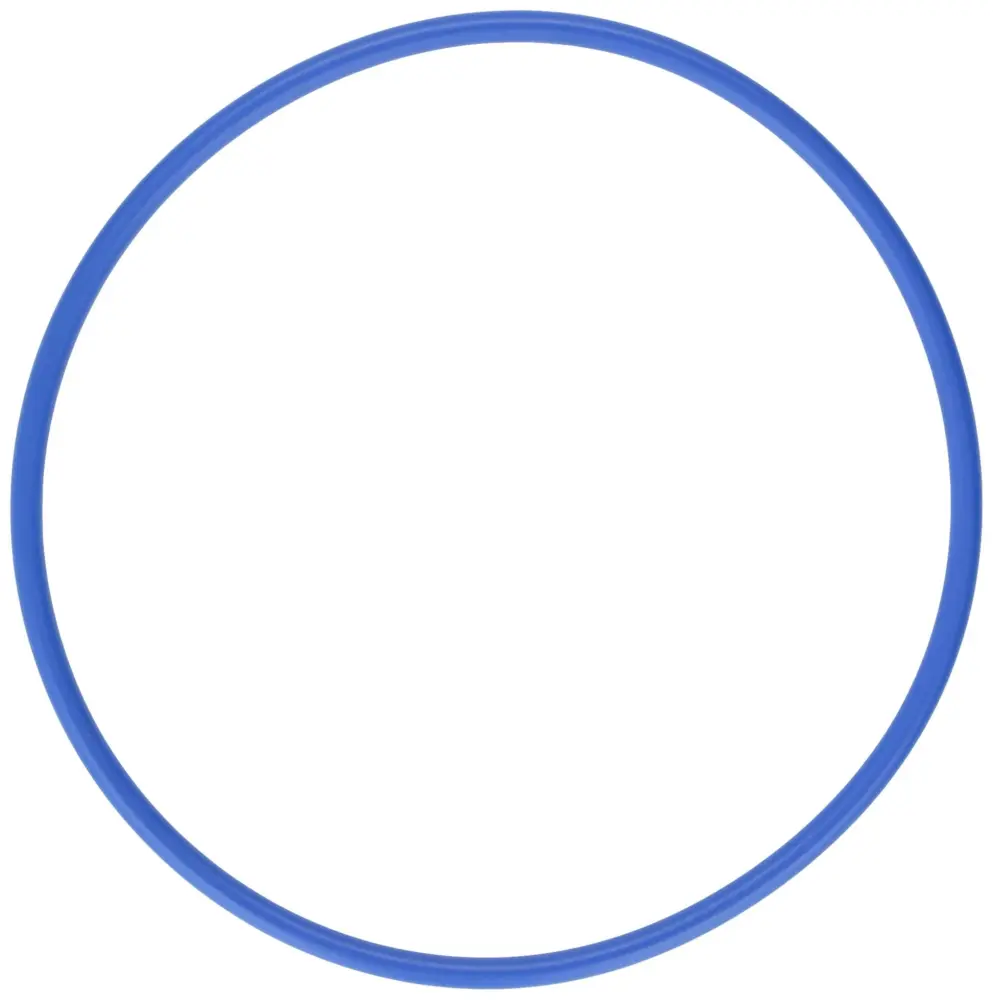 Pentair 16920-0012 O-Ring Replacement Pentair Acrylic Suction Trap Assembly