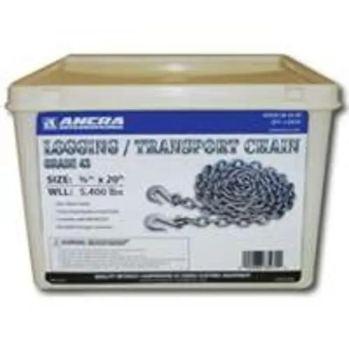Ancra 49958-38-20-SP 3/8X20 G43 Transport Chain Hooks